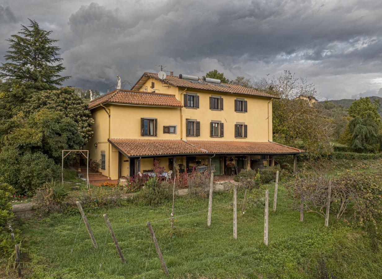Agriturismo Il Bardellino 피비쟈노 외부 사진