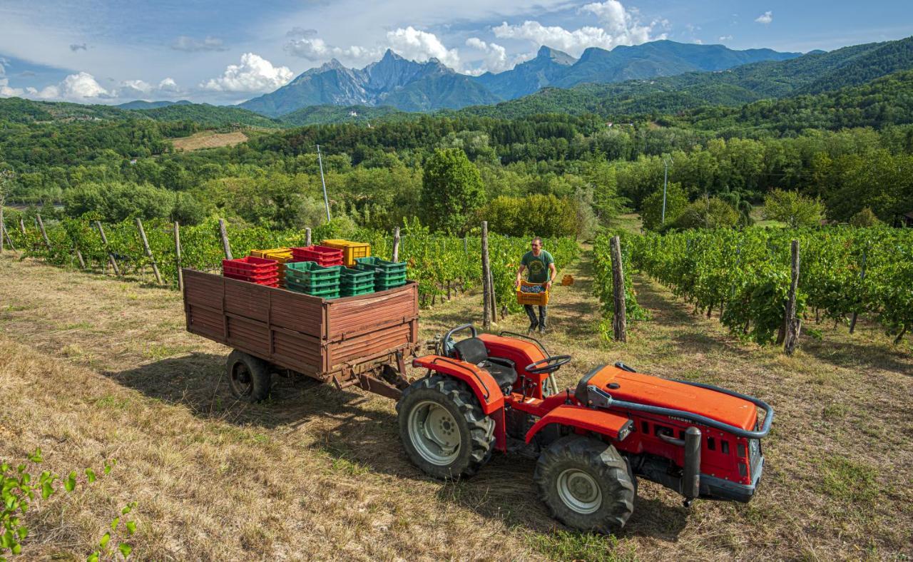 Agriturismo Il Bardellino 피비쟈노 외부 사진