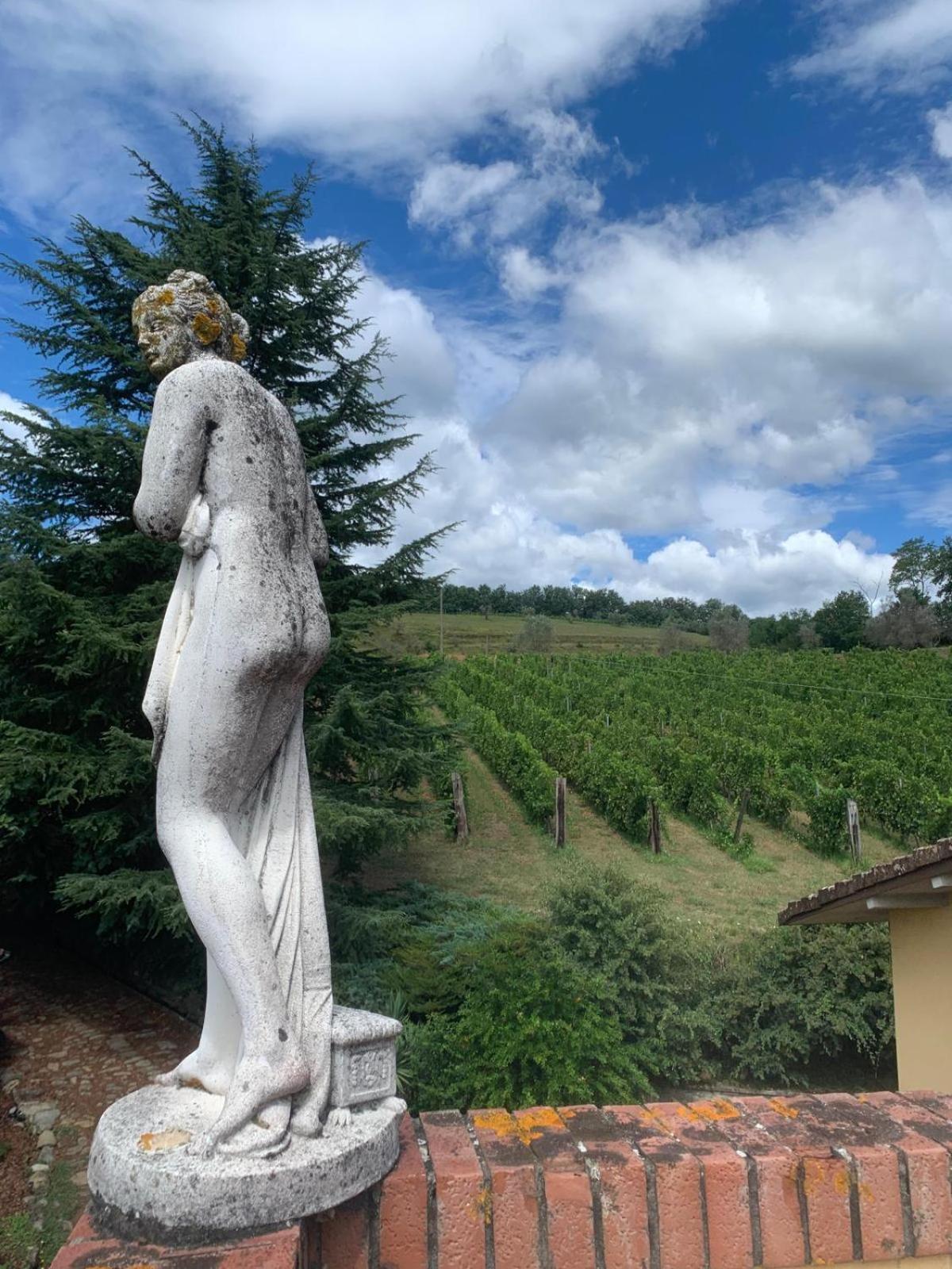 Agriturismo Il Bardellino 피비쟈노 외부 사진
